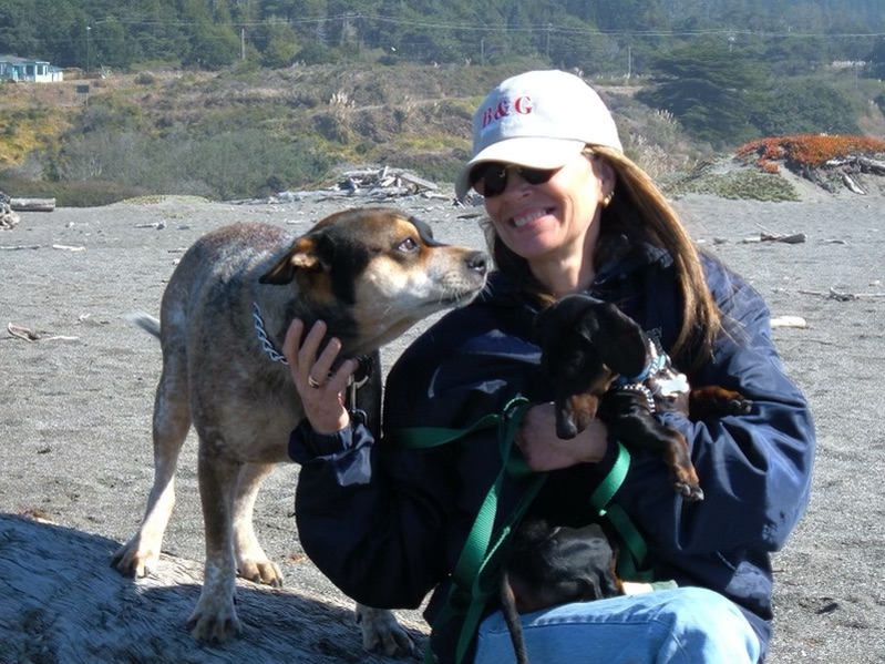 El Sobrante Veterinary Hospital, El Sobrante, CA 94803 Our Doctors